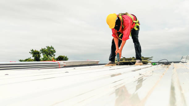 Best Roof Insulation Installation  in Sleepy Hollow, WY